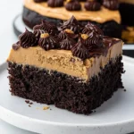 Chocolate-Peanut-Butter-Cake-Recipe